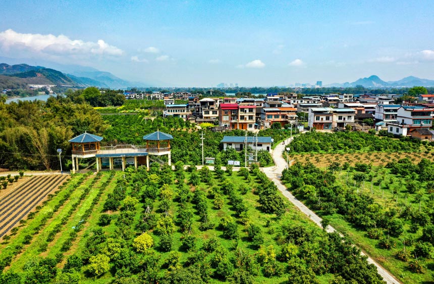 生态旅游新村——鹭鹚洲村。