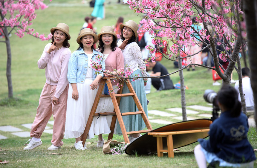 用镜头定格美好春光。