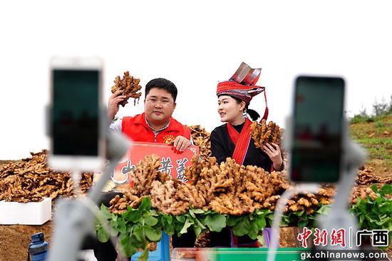 3月17日，在金秀瑶族自治县六巷乡青山村，志愿者主播进行公益直播，为姜农直播带货销售生姜。高如金  摄