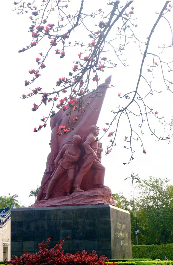 英雄花——木棉花。