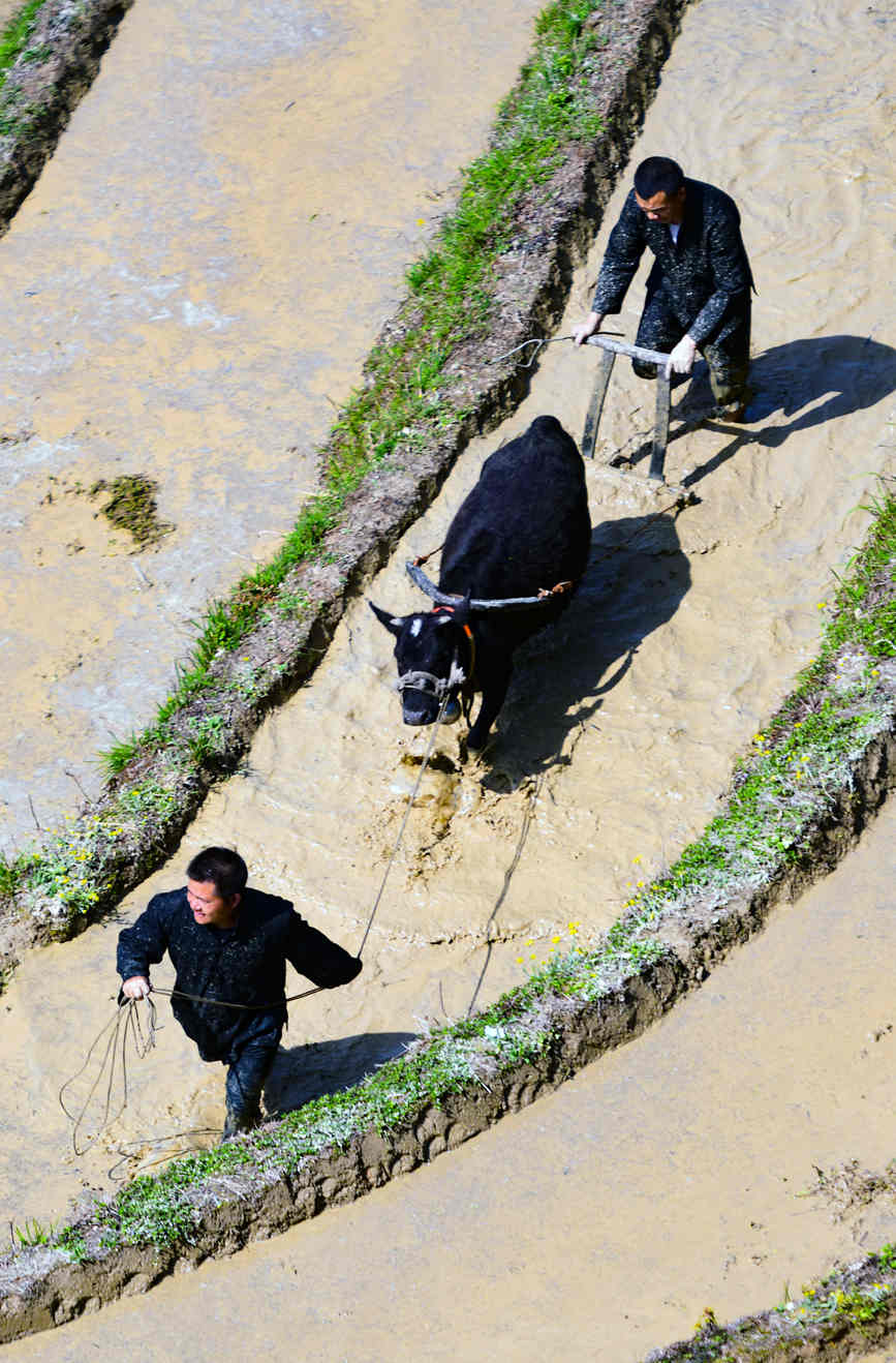 村民在梯田上劳作。潘志祥摄