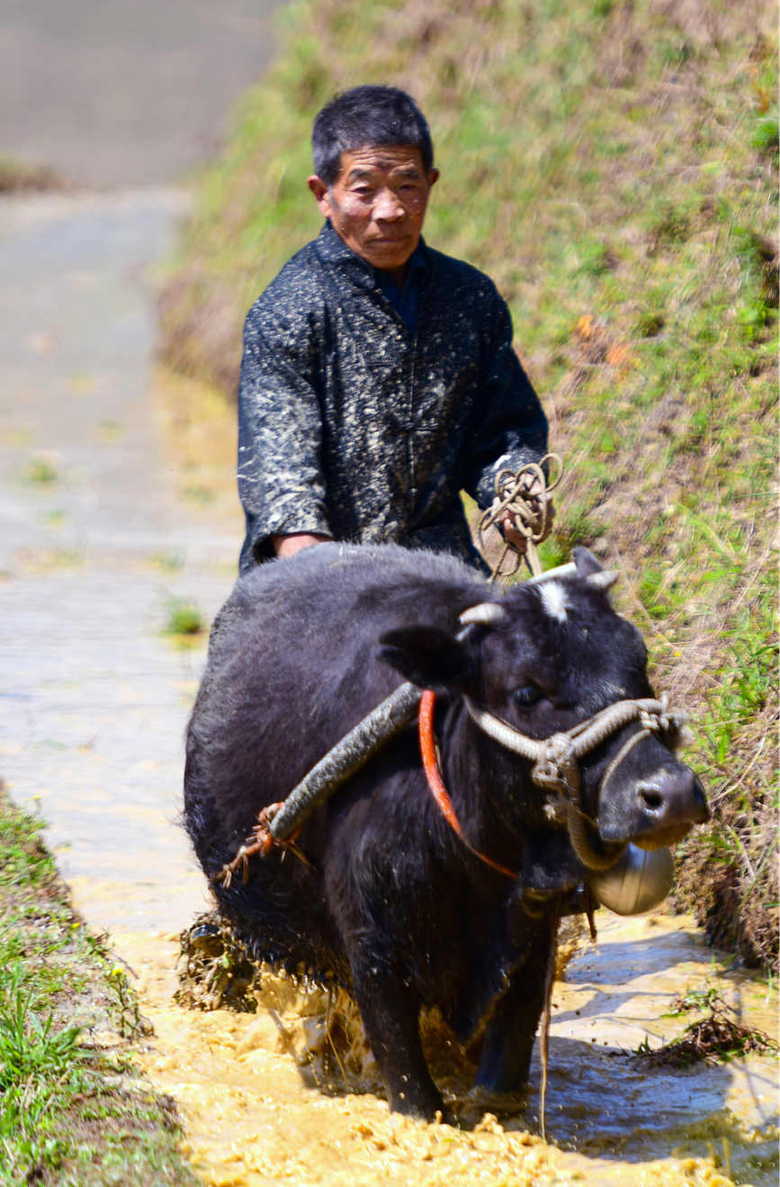 村民在梯田上劳作。潘志祥摄
