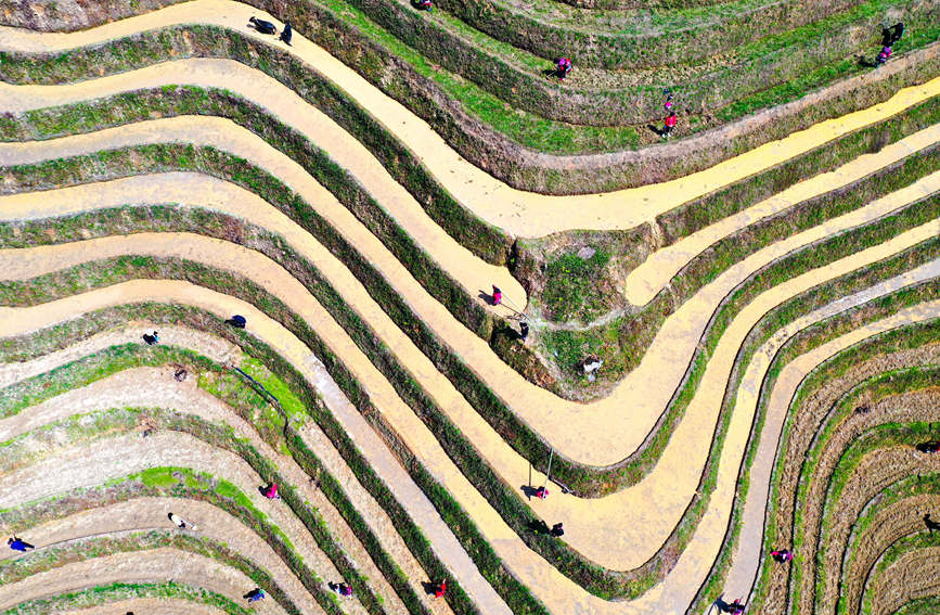 村民在梯田上劳作。潘志祥摄