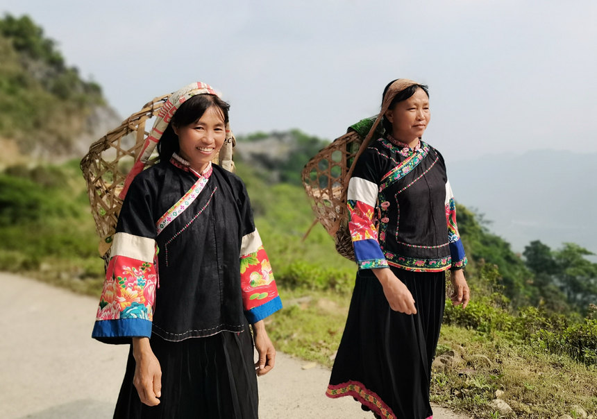 瑶族村民背着背篓在山间放牧山羊。龙嘉嘉摄