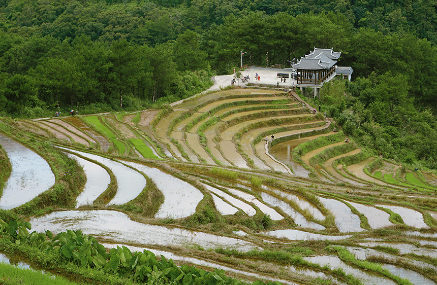 百马梯田。