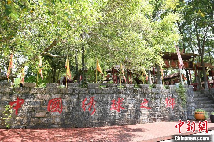 旧州景区是“中国绣球之乡”。　王以照 摄