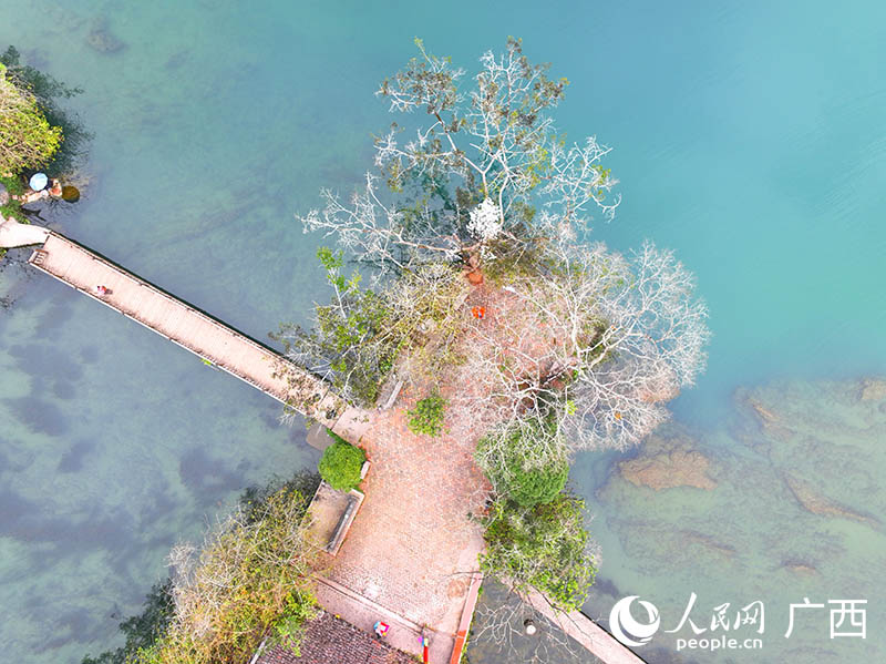 泉眼处晶莹透彻的泉水。人民网 付华周摄 泉眼处晶莹透彻的泉水。人民网 付华周摄