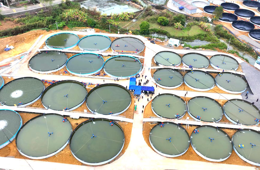 广西平果：打造现代渔业“硅谷”带动群众增收致富