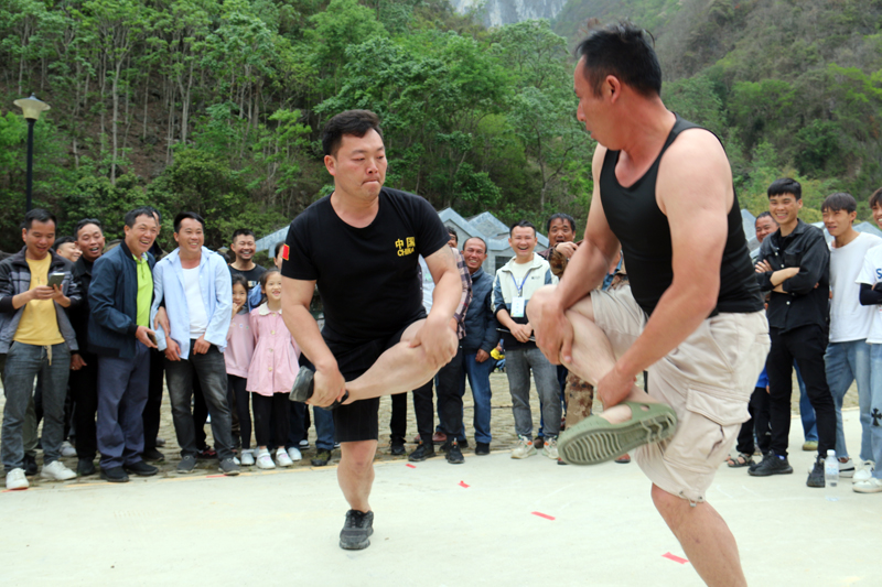 双人斗鸡赛。范进摄