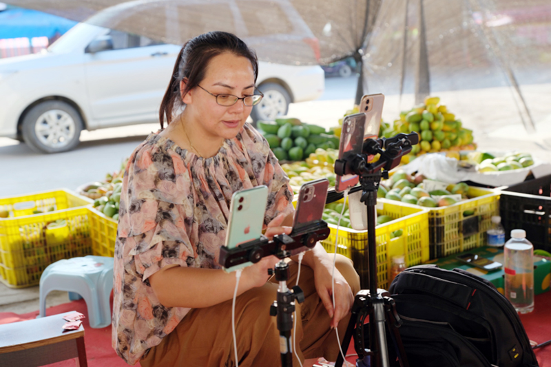 主播直播带货，将芒果销往全国各地。周金鹏摄