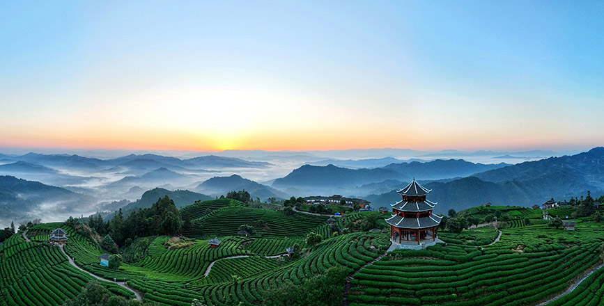 10月16日，无人机航拍三江侗族自治县八江镇布央村仙人山茶园。