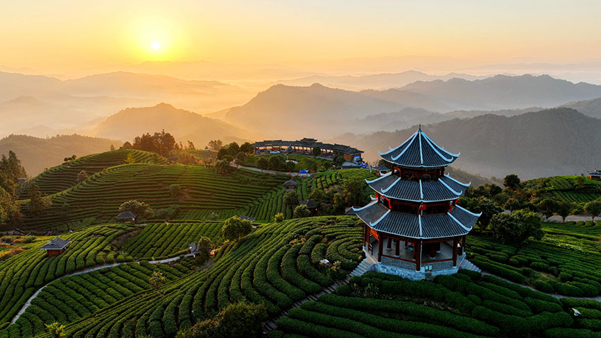 10月16日，三江侗族自治县八江镇布央村仙人山茶园的云海日出美景。