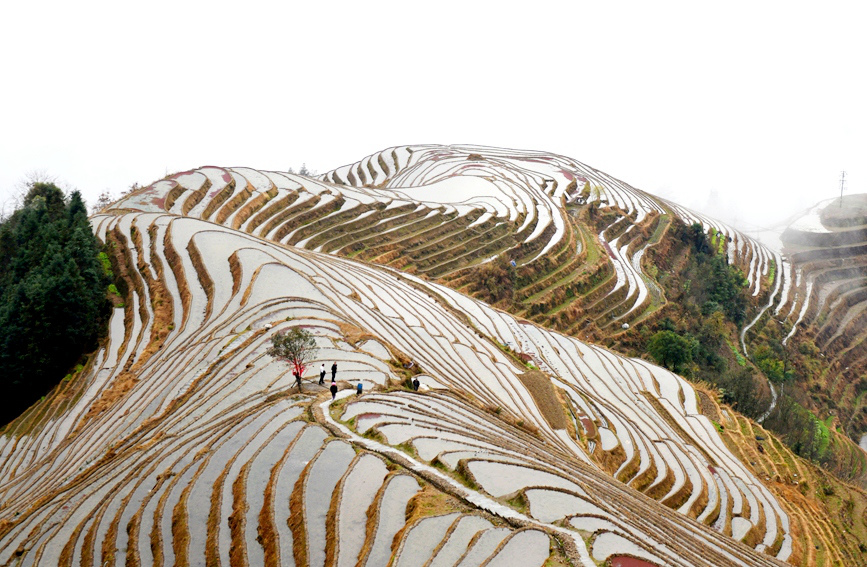 冬日梯田景如画